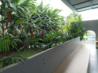 Ambu Guest House - 1