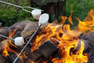 Landhoeve - Zwarteweg - 1