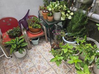 Seoul Station West 10 min on foot bus stop 1 min - 2