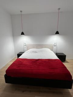 Belle Maison tout confort bord de Loire - 1