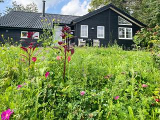Lovely Black Wooden House Near Tisvilde Hegn - 1