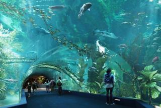 Tây Hồ Tulip Homestay - 1