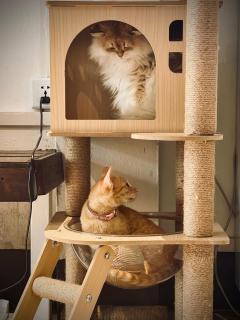 The Witcher Hostel - 4