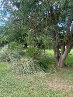 El Colibrí Casa de Campo - 1