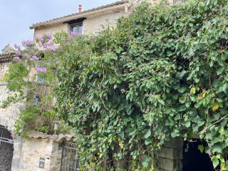 Maison Orange - Paradis de Provence - 6