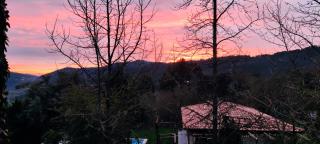 The Pool House - 5