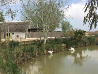 La Barraca den Salvador - 8