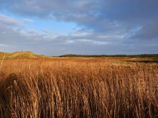 Seaside Wellness Retreat - By Traum Ferienwohnungen - 1