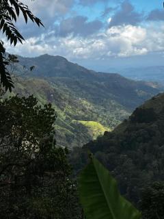 Saveen View Ella - 7
