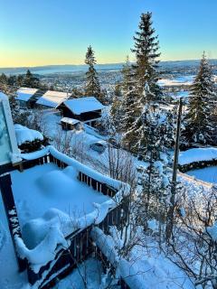 Charming Villa with great views in Holmenkollen - 8