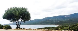 Séjour de rêve entre mer&montagnes à 5mn de la mer - 1