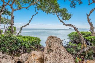 Beachy Butterfly - 6