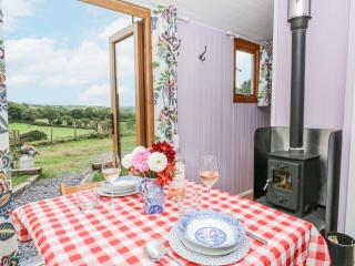 Brondel Luxury Shepherd's Hut - 5