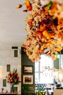 The Ox Pub & Rooms - 1