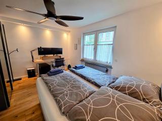 Design-Wohnung im Zentrum mit Balkon und Parkplatz - 3