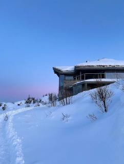 Lyngstuva Lodge - Aurora in Lyngen - 8