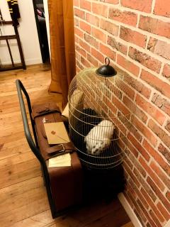 Le refuge des Mans-raudeurs - Le Mans - 8