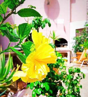 Villa Milena Costa Rei VISTA MARE - 8