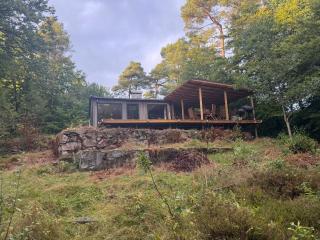 Pine Hill - 9