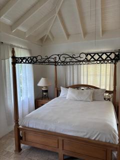 Library Master Suite - 5