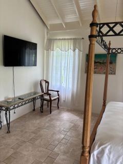 Library Master Suite - 1