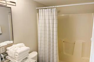 Baydream Believer - 1