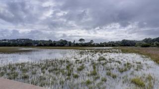 Hilton Head Resort 3306 - 6