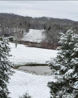 Pet Friendly! Farmhouse near the Harpeth River - 7