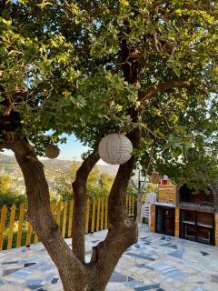 أكواخ المها oryx cottage - 7