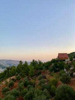 أكواخ المها oryx cottage - 6