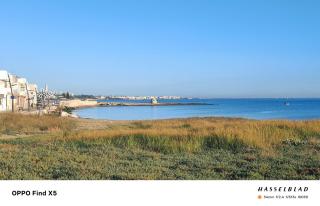 Il Melarancio del Salento - 7