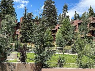 Canyon Ski Gateway Condo for 4 - 3
