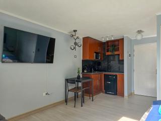 Moderno estudio a pasos de Barrio Italia - 5