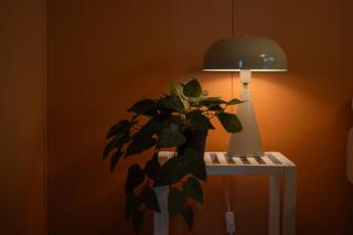 Tomasjord home, the top floor - Tromsdalen - 5