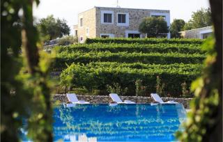 Villa Stanic Estate - 3