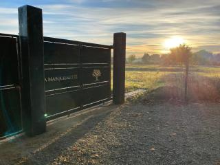 DOMAINE LA MASQUIERETTE - 7