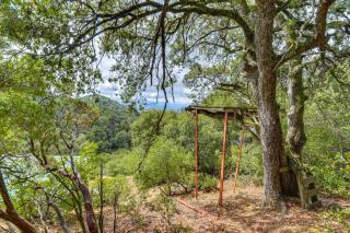 Mtn-View Coulter Escape with Rustic Tree Lookout - 9