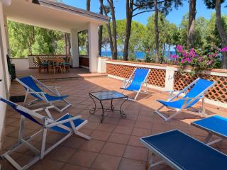 Villa Marina Grande - 0