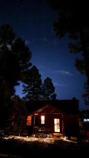 The Bear Cub Cabin Deck, BBQ and Indoor Fireplace - 6