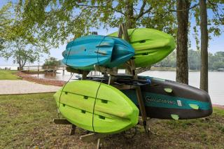 Luna's Lake Life - 1