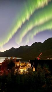 Ersfjord Villa Apt - 0