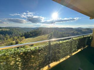 Ferienwohnung Platzhirsch 314 im Harz mit Pool & Sauna in Braunlage-Hohegeiß - 8