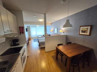 Ikaalisten Kylpylä Apartamentos rantahuoneisto Terme - 1