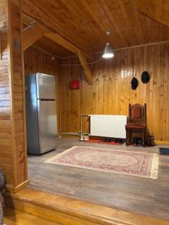 Holiday home in a beautiful ski resort Bakuriani - 7