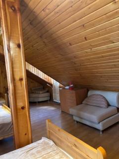 Holiday home in a beautiful ski resort Bakuriani - 5