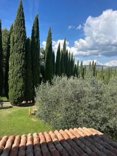 Le Porrine - 1