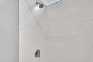 Southern Belle Carriage by Lucky Savannah - 5