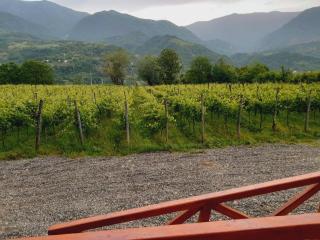 Jvarisa Winery - 2