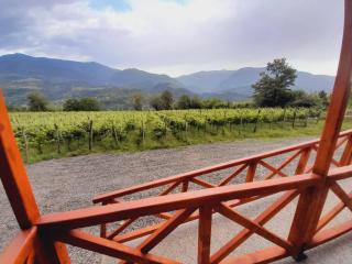 Jvarisa Winery - 1