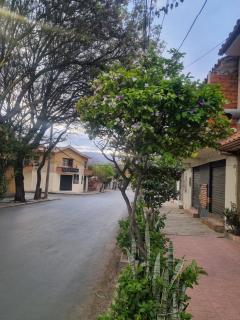 Nido del Altillo - 2